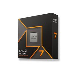 AMD 100-100001404WOF