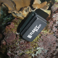 JBL JBL6135200