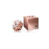 Mont Blanc 3386460081931