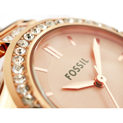 Fossil BQ3181 Women's watch