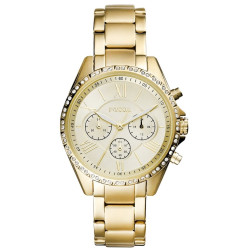 Fossil BQ3378 Women's watch