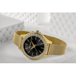 Paul Lorens PL10482B2-1D1