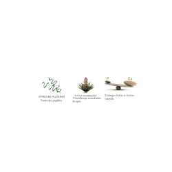 Padovan DPP00680