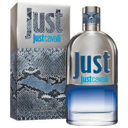 Roberto Cavalli Just Cavalli Him 2013 Perfume EDT 90 ml