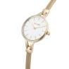 Paul Lorens Women's Watch PL12878B-3D1 / blue