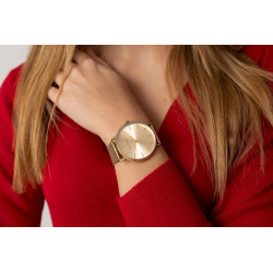 Paul Lorens PL13032B-4D1