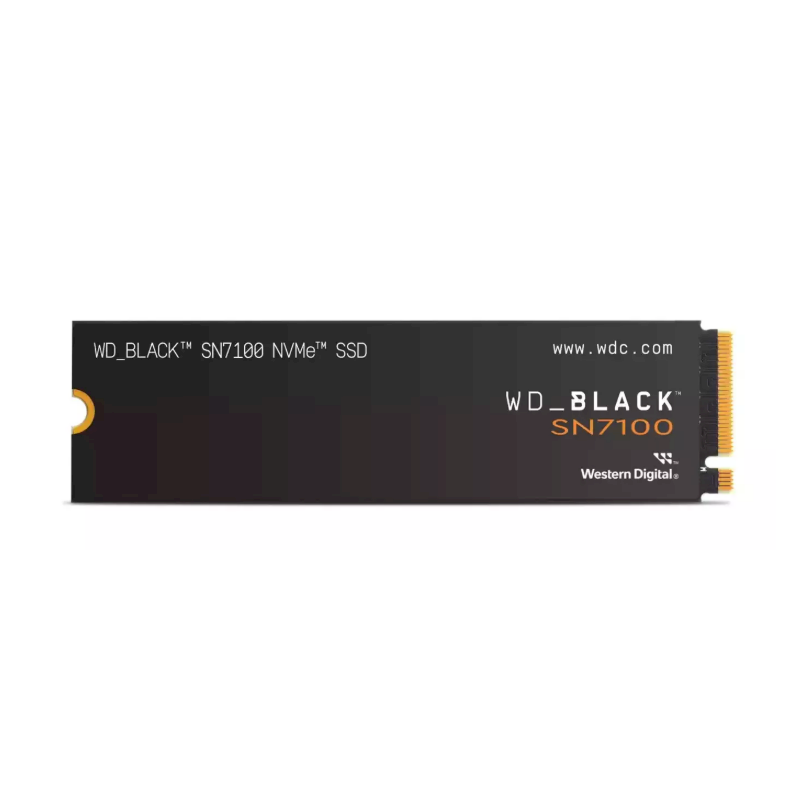 WD WDS100T4X0E