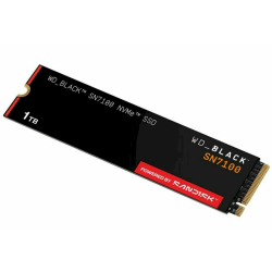 WD WDS100T4X0E