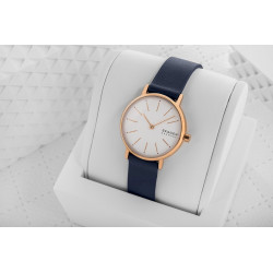 Skagen SKW2838
