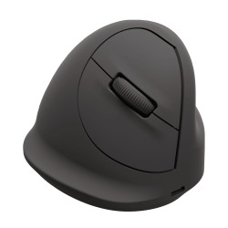 Fellowes 100143579 kompiuterio pelė Universalus Dešinės rankos Bluetooth + USB Type-C Optinis 1600 DPI