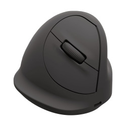 Fellowes 100143580 kompiuterio pelė Universalus Dešinės rankos Bluetooth + USB Type-C Optinis 2400 DPI