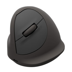 Fellowes 100143583 kompiuterio pelė Universalus Kairė ranka Bluetooth + USB Type-C Optinis 2400 DPI