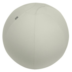Leitz Ergo Grey Indoor Spheric