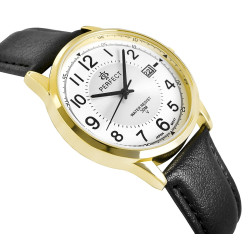 PERFECT Men's Watch C710T-09 / black