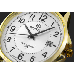 PERFECT Men's Watch C710T-09 / black