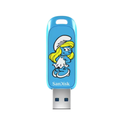 SanDisk SDCZIS-256G-G46 USB Flash Drive 256GB