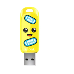 SanDisk SDCZIF-256G-G46