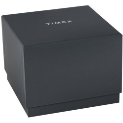 TIMEX Legacy Men's Watch TW2W57400