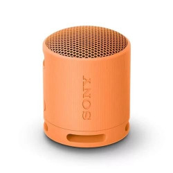 Sony SRS-XB100 Bluetooth Portable Speaker