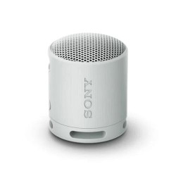 Sony SRS-XB100 Bluetooth Portable wireless speaker Light grey