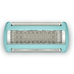 Philips BG2010/43