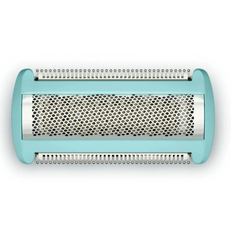 Philips BG2010/43