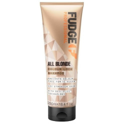 Fudge Professional 5031550000290