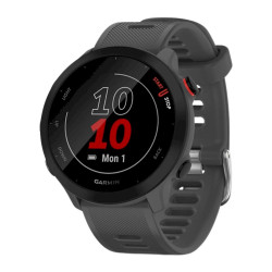 Garmin Forerunner 55 GPS Watch / monterra grey