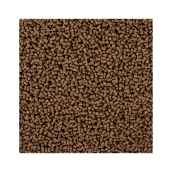 Tropical Sterlet Basic S maistas eršketams 500 g
