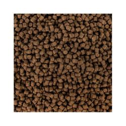 Tropical TRO41054