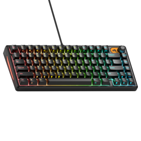 Glorious Gaming GMBK 75% klaviatūra Žaidimams USB QWERTY Anglų (JAV) Juoda