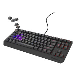 GENESIS Thor 230 TKL Outemu Brown klaviatūra Žaidimams USB QWERTY Anglų (JAV) Juoda