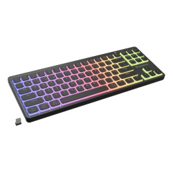 GENESIS Thor 430 TKL Wireless klaviatūra Žaidimams USB + RF Wireless + Bluetooth QWERTY Anglų (JAV) Juoda