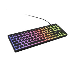 GENESIS Thor 430 TKL klaviatūra Žaidimams USB QWERTY Anglų (JAV) Juoda