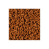 Tropical TRO63536