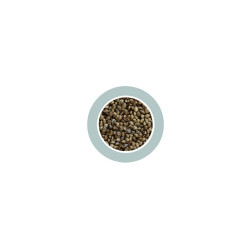 Padovan DPP00286