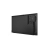 Lenovo ThinkVision E55 LFD computer monitor 138.7 cm (54.6") 3840 x 2160 pixels 4K Ultra HD IPS Black