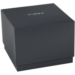 Timex TW4B34800