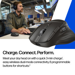 HP Ultra-Fast-Scroll Wireless Mouse 785M kompiuterio pelė