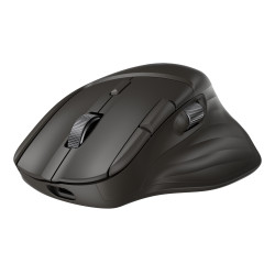 HP Ultra-Fast-Scroll Wireless 785M mouse