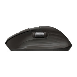 HP Ultra-Fast-Scroll Wireless Mouse 785M kompiuterio pelė