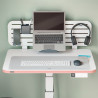 Leitz 53810003 desk pad Polyvinyl chloride (PVC)