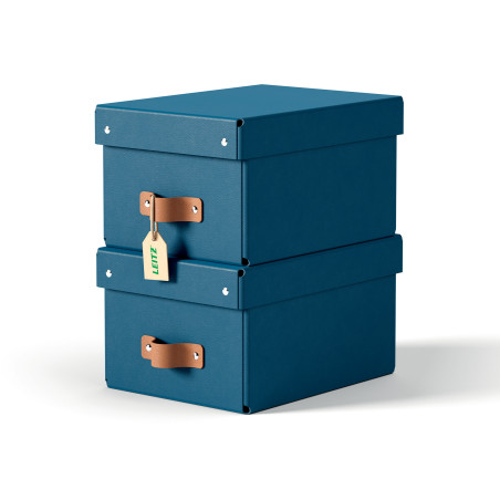 Leitz 61470068 storage box Carton Blue