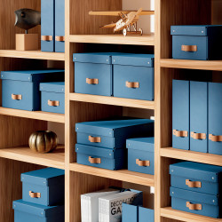 Leitz 61480068 storage box Carton Blue