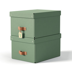 Leitz 61490050 storage box Carton Green