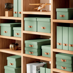 Leitz 24710050 storage box Carton Green