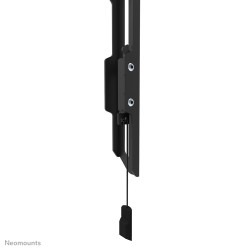 Neomounts WL30-550BL14 televizoriaus laikiklis 190,5 cm (75") Juoda