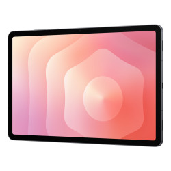 Samsung Galaxy Tab S11 5G LTE-TDD & LTE-FDD 256 GB 27.9 cm (11") 12 GB Wi-Fi 6 (802.11ax) Grey