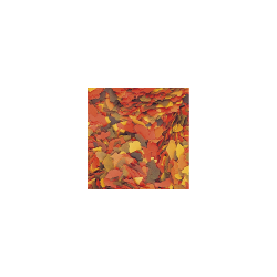 Tropical TRO77103