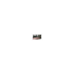 Electrolux EFWCLN3 Air purifier filter